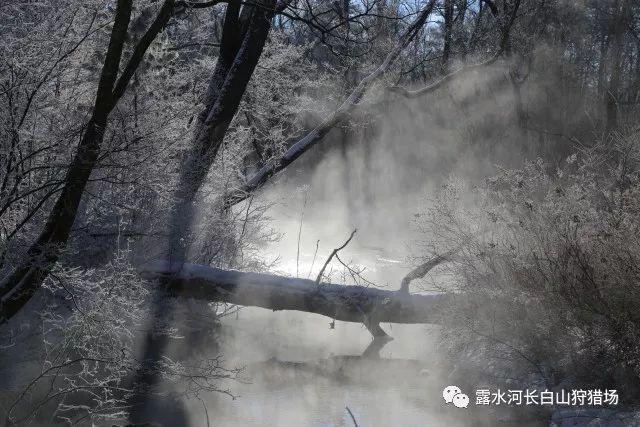 为什么总觉得过去比现在开心?